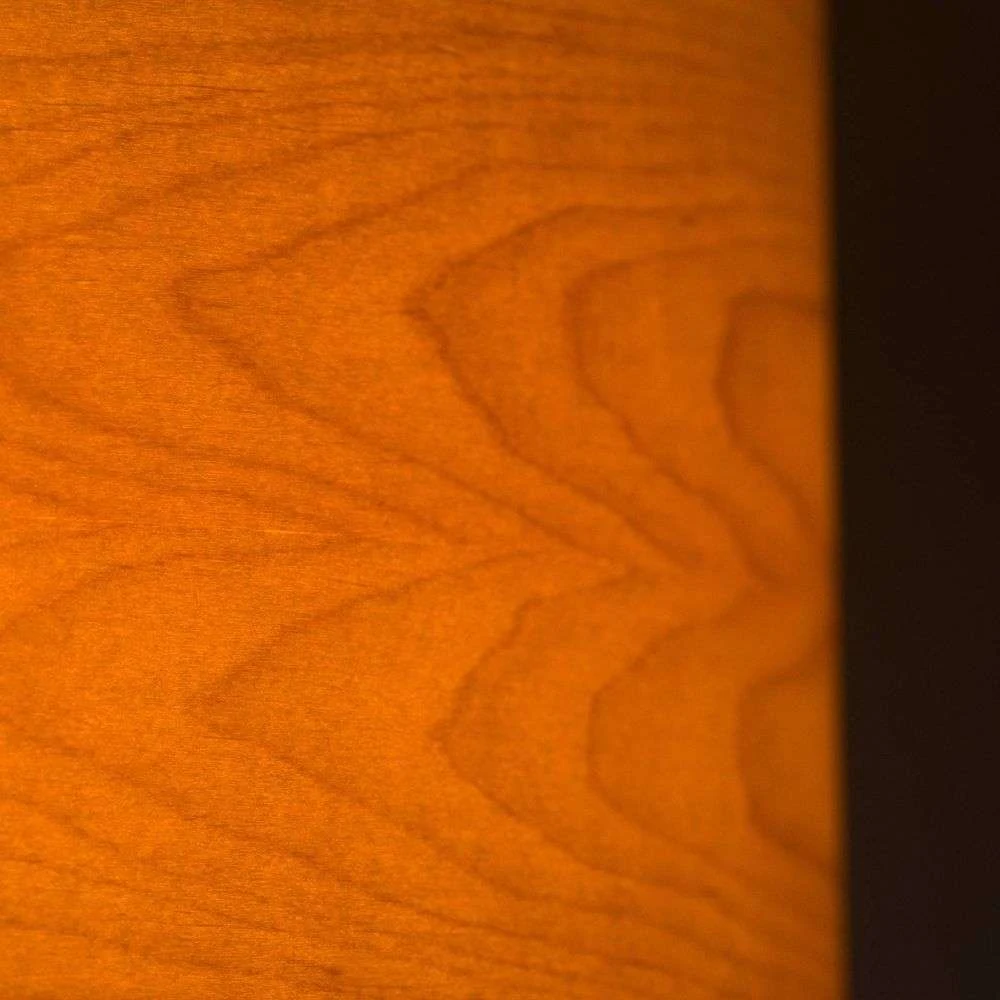 Veneer Plafondlamp Ø55 Alder - Envostar - Koop Online - Image 2