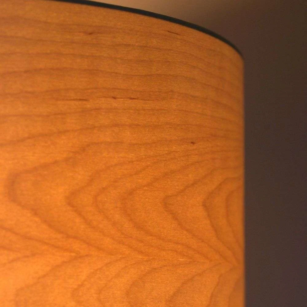 Veneer Plafondlamp Ø55 Alder - Envostar - Koop Online - Image 3