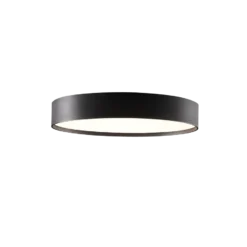 Surface 300 LED 3000K Plafondlamp Zwart - Light-Point - Koop Online