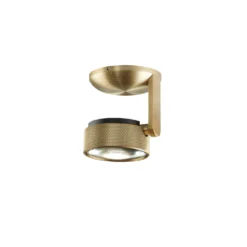 Cosmo C1 Plafondlamp 2700K Brass - Light-Point - Koop Online