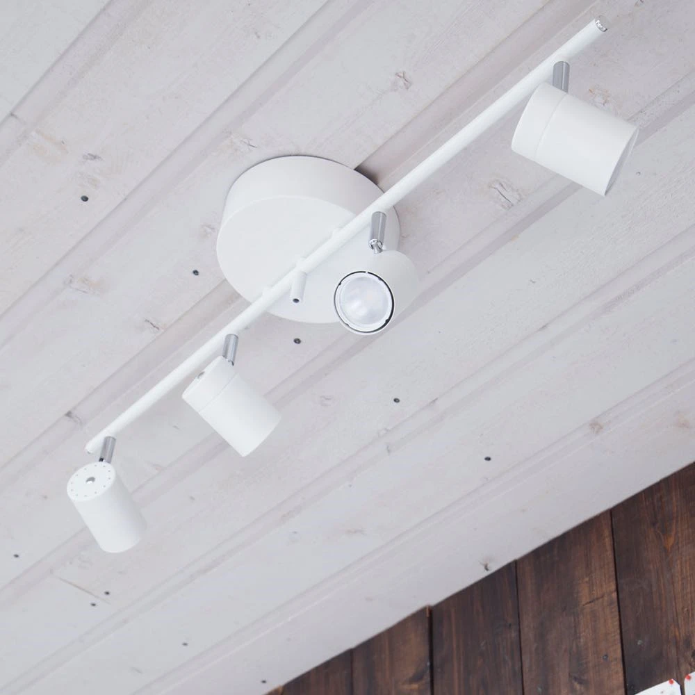 Correct 4-Spot Wit - By Rydéns - Koop Online - Image 2