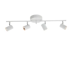 Correct 4-Spot Wit - By Rydéns - Koop Online