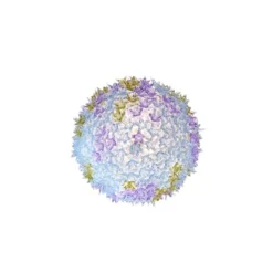 Bloom C1 Wandlamp/Plafondlamp Lavendel - Kartell - Koop Online