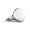 Lichtbron LED 13W (1300lm) 2700K Dimbaar E27 - Flos - Koop Online